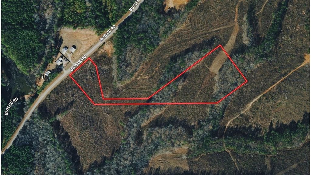 unimproved land for sale at 0 Butler Road, Franklin, GA 30217 — photo 3