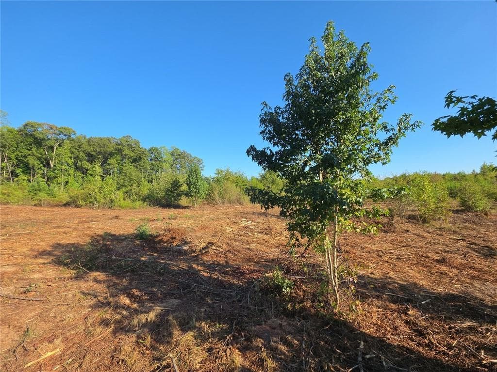 unimproved land for sale at 0 Butler Road, Franklin, GA 30217 — photo 4