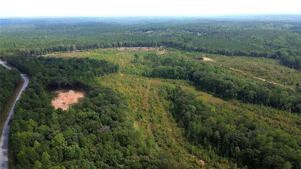 unimproved land for sale at 0 Butler Road, Franklin, GA 30217 — photo 5