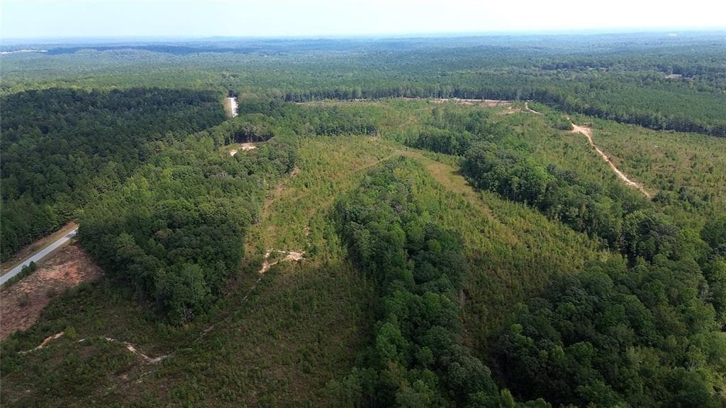unimproved land for sale at 0 Butler Road, Franklin, GA 30217 — photo 6