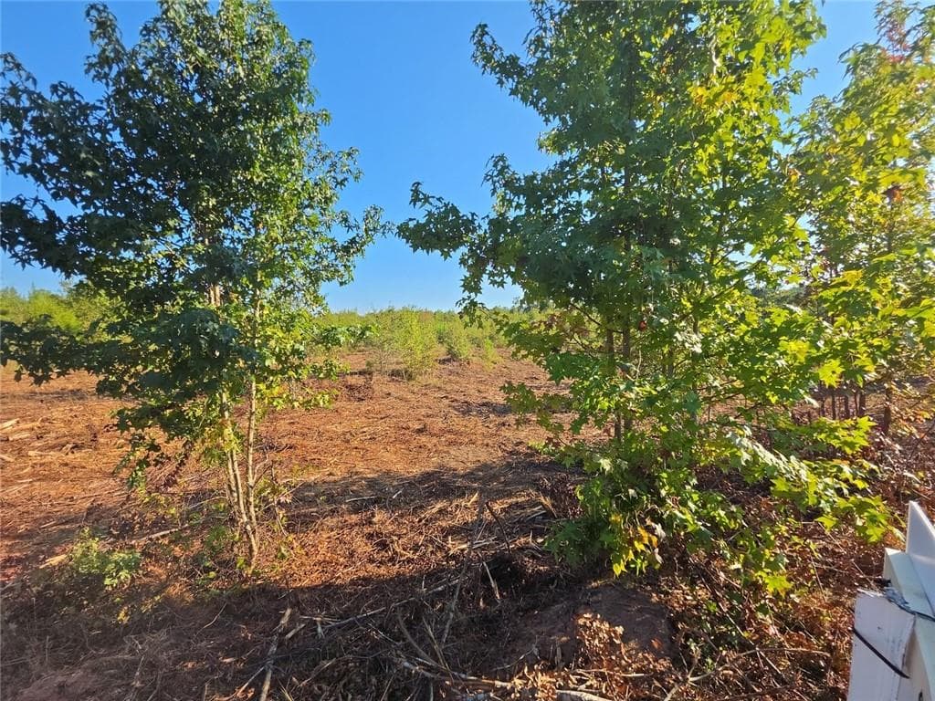 unimproved land for sale at 0 Butler Road, Franklin, GA 30217 — photo 7