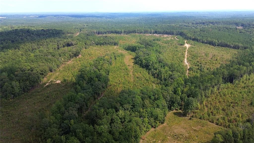 unimproved land for sale at 0 Butler Road, Franklin, GA 30217 — photo 8