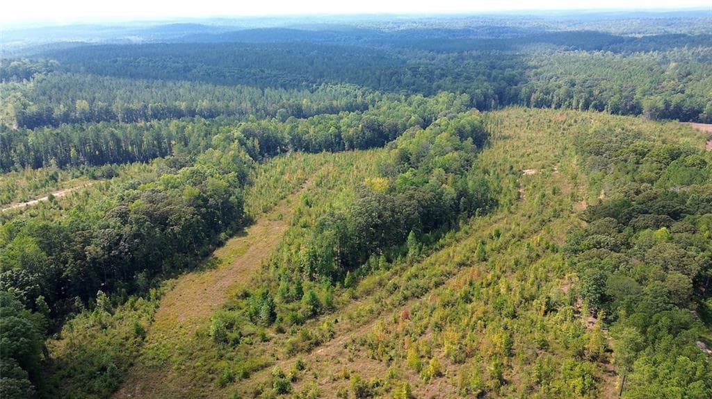 unimproved land for sale at 0 Butler Road, Franklin, GA 30217 — photo 9