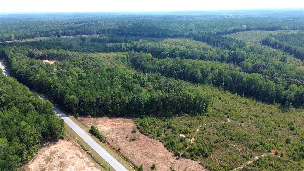 unimproved land for sale at 0 Butler Road, Franklin, GA 30217 — photo 10