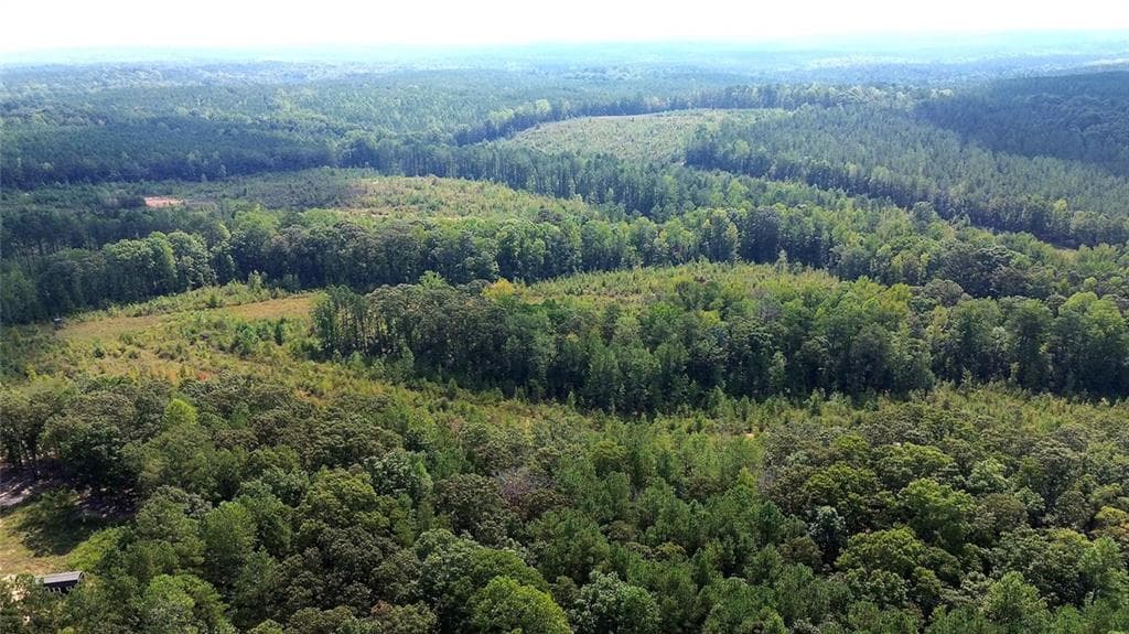 unimproved land for sale at 0 Butler Road, Franklin, GA 30217 — photo 5