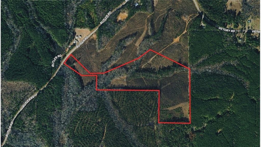 unimproved land for sale at 0 Butler Road, Franklin, GA 30217 — photo 3