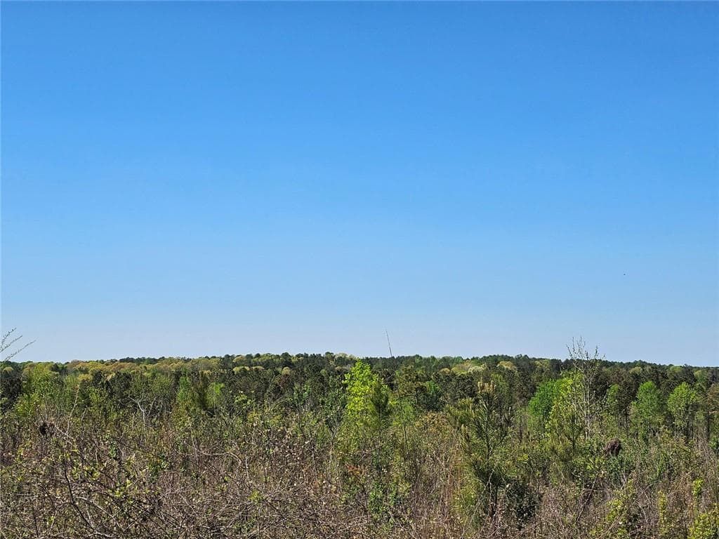 unimproved land for sale at 0 Butler Road, Franklin, GA 30217 — photo 6