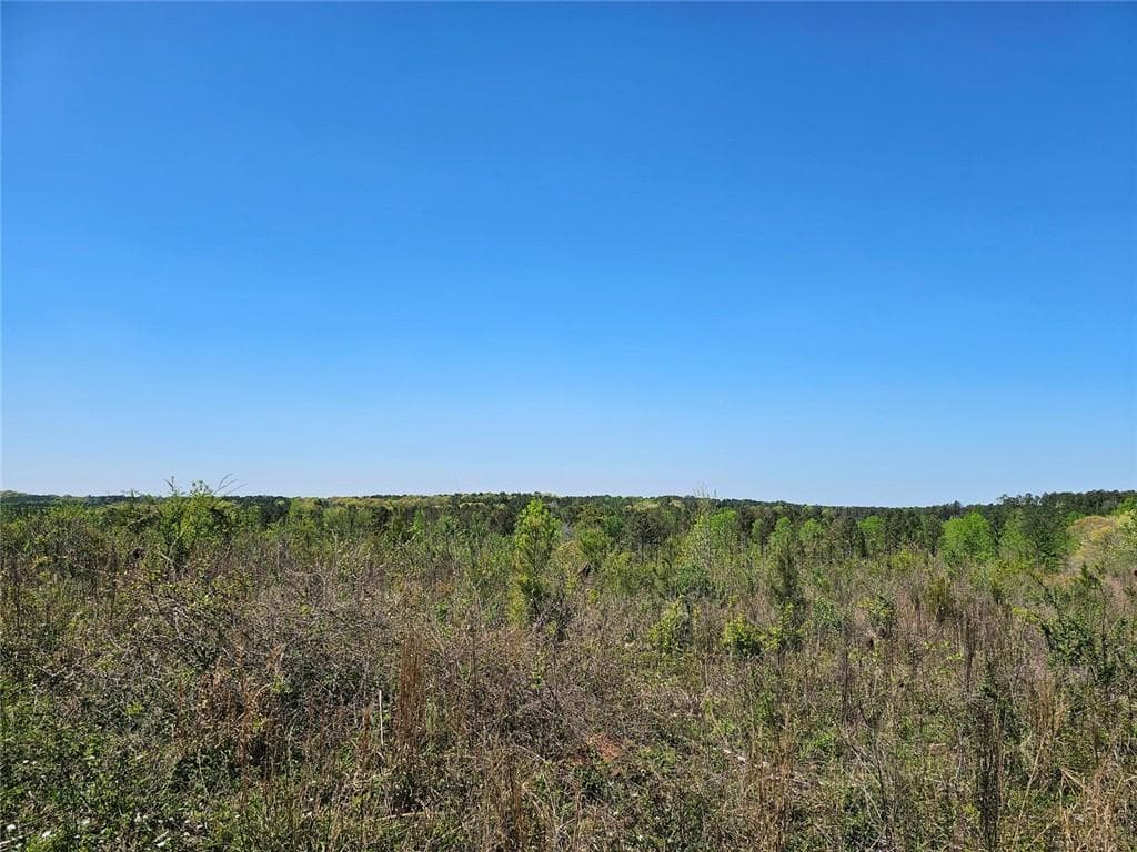 unimproved land for sale at 0 Butler Road, Franklin, GA 30217 — photo 7