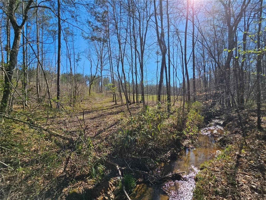 unimproved land for sale at 0 Butler Road, Franklin, GA 30217 — photo 8