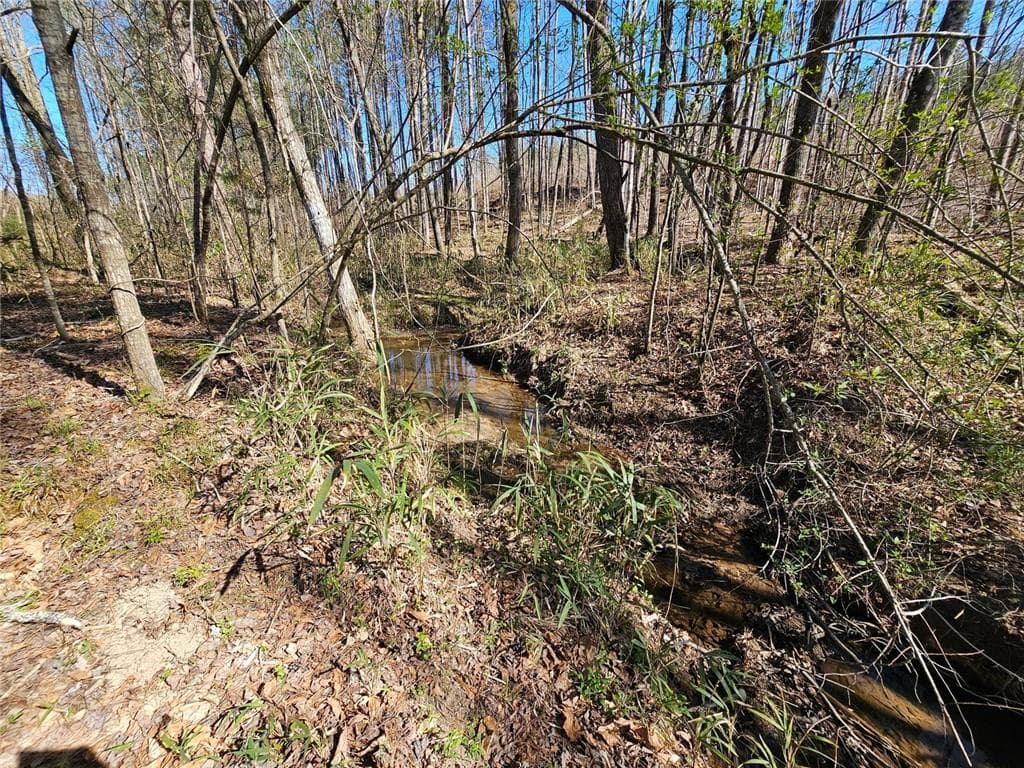 unimproved land for sale at 0 Butler Road, Franklin, GA 30217 — photo 9