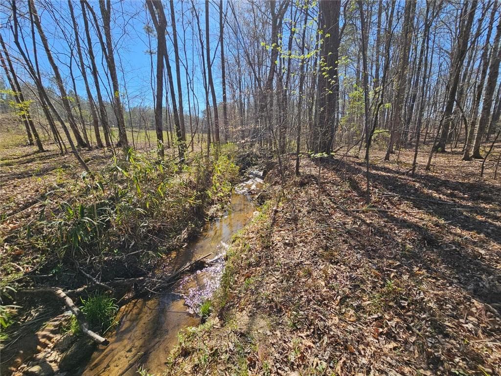 unimproved land for sale at 0 Butler Road, Franklin, GA 30217 — photo 10