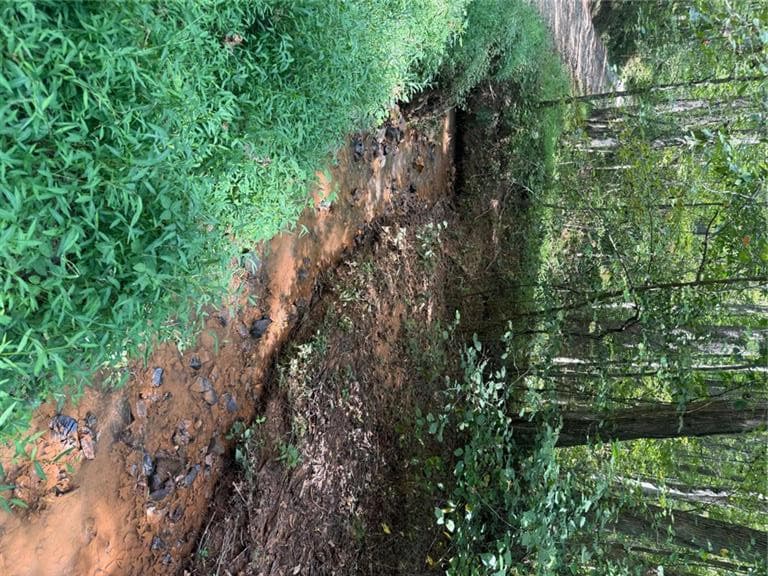 unimproved land for sale at 300 Sumac Lane, Ellijay, GA 30540 — photo 2