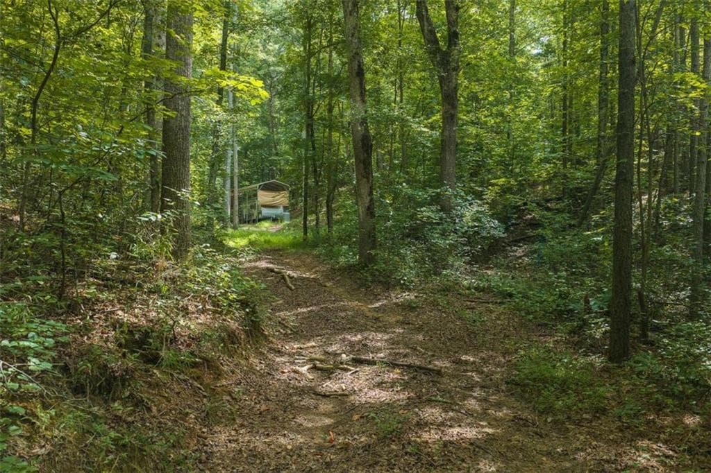 unimproved land for sale at 300 Sumac Lane, Ellijay, GA 30540 — photo 4