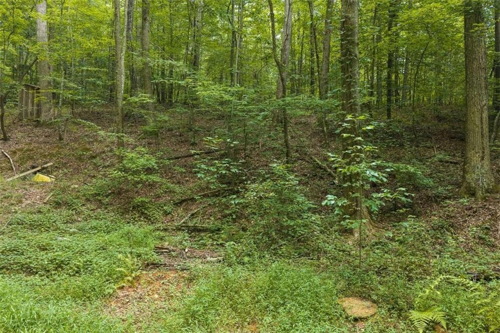 unimproved land for sale at 300 Sumac Lane, Ellijay, GA 30540 — photo 5