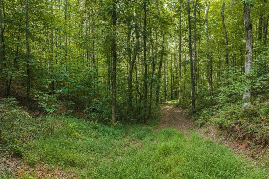 unimproved land for sale at 300 Sumac Lane, Ellijay, GA 30540 — photo 8