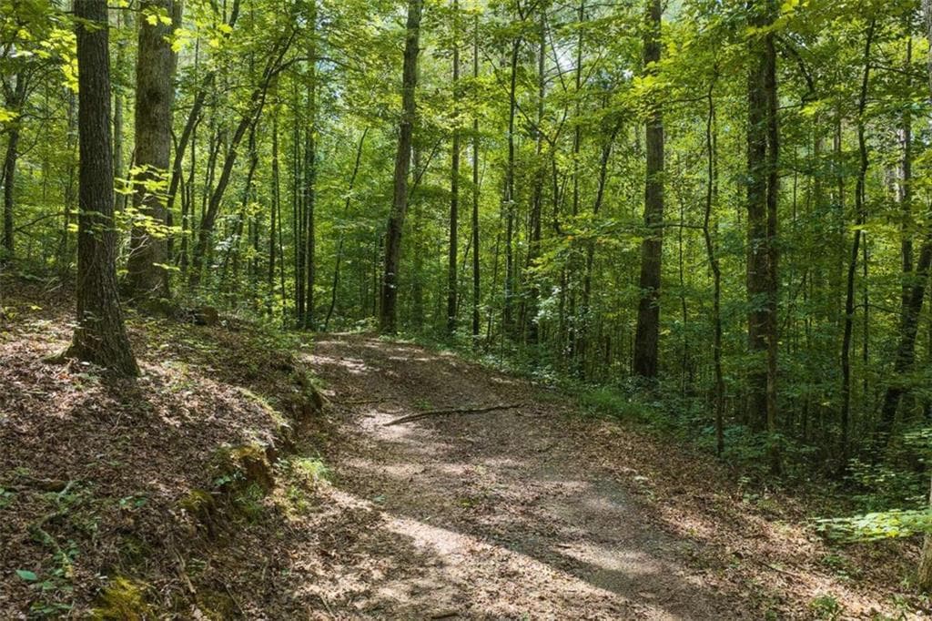 unimproved land for sale at 300 Sumac Lane, Ellijay, GA 30540 — photo 9