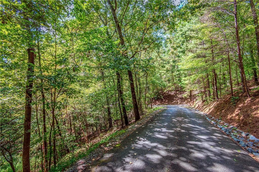 single family residence for sale at LT103R Mountain Creek Hollow Drive, Talking Rock, GA 30175 — photo 4