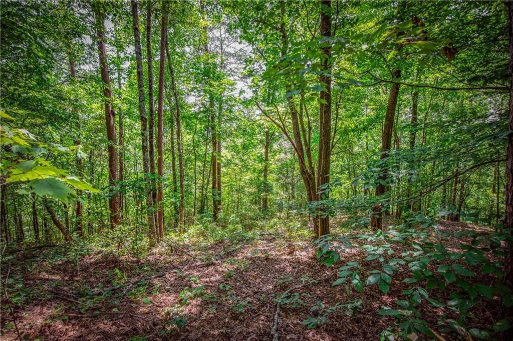 single family residence for sale at LT103R Mountain Creek Hollow Drive, Talking Rock, GA 30175 — photo 5