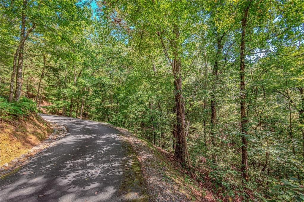 single family residence for sale at LT103R Mountain Creek Hollow Drive, Talking Rock, GA 30175 — photo 9