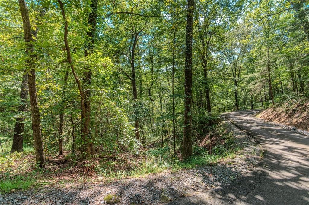 single family residence for sale at LT103R Mountain Creek Hollow Drive, Talking Rock, GA 30175 — photo 10