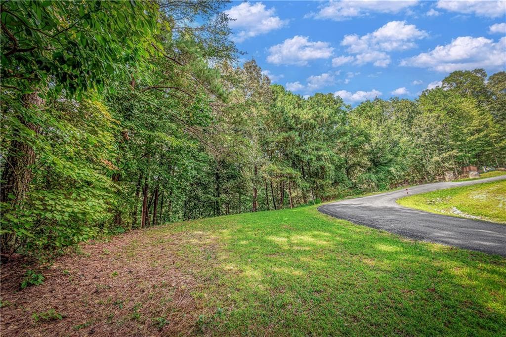 single family residence for sale at LT104 Mountain Creek Hollow Drive, Talking Rock, GA 30175 — photo 2