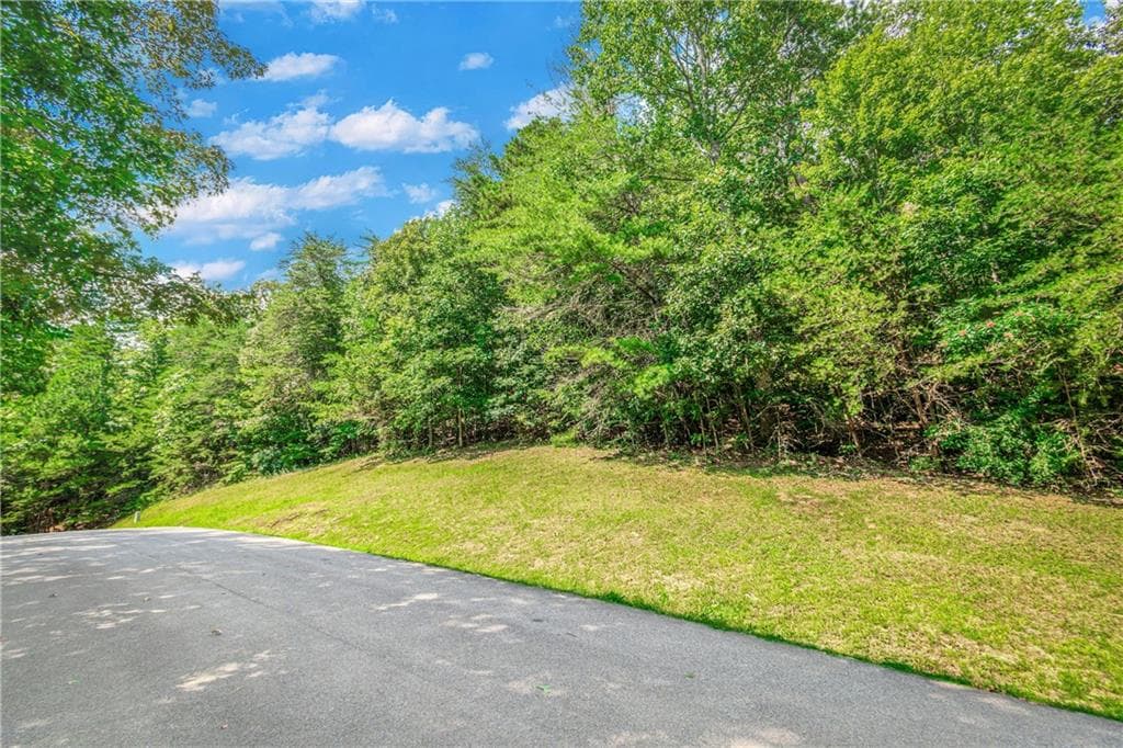 single family residence for sale at LT104 Mountain Creek Hollow Drive, Talking Rock, GA 30175 — photo 4