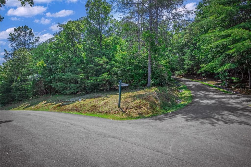 single family residence for sale at LT104 Mountain Creek Hollow Drive, Talking Rock, GA 30175 — photo 9