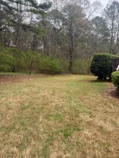 4 bedroom, 4 bathroom, 5,307 sq ft single family residence for sale at 117 Watkins Glen Drive, Mcdonough, GA 30252 — photo 2