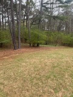 4 bedroom, 4 bathroom, 5,307 sq ft single family residence for sale at 117 Watkins Glen Drive, Mcdonough, GA 30252 — photo 4