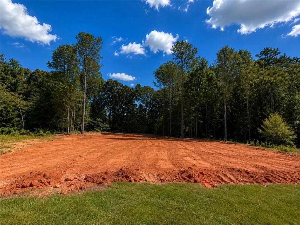 4 bedroom, 4 bathroom, 3,043 sq ft single family residence for sale at 194 Hidden Trail, Pendergrass, GA 30567 — photo 4
