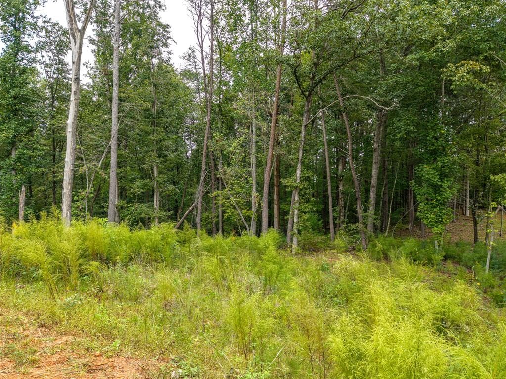 3 bedroom, 2 bathroom, 1,193 sq ft single family residence for sale at 163 Tuscany Drive, Ellijay, GA 30540 — photo 7
