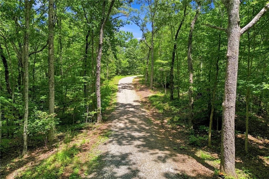 5 bedroom, 5 bathroom, 4,113 sq ft single family residence for sale at 102 New Bethel Ch Road, Dawsonville, GA 30534 — photo 3