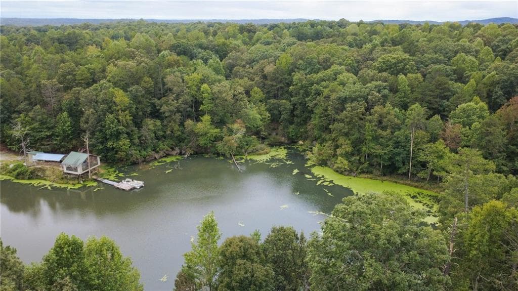 4 bedroom, 3 bathroom, 3,064 sq ft single family residence for sale at 263 Cole Lake Drive, Toccoa, GA 30577 — photo 9