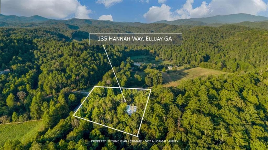 4 bedroom, 3 bathroom, 3,920 sq ft single family residence for sale at 135 Hannah Way, Ellijay, GA 30540 — photo 7