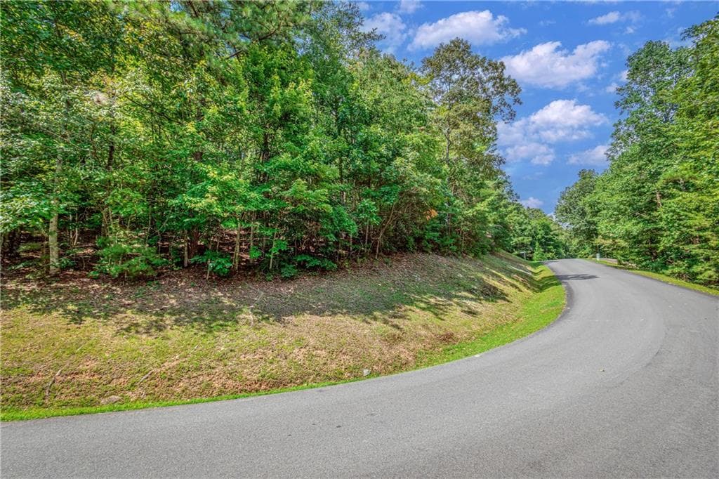 unimproved land for sale at 4.7AC Mountain Creek Hollow Drive, Talking Rock, GA 30175 — photo 1 of 64