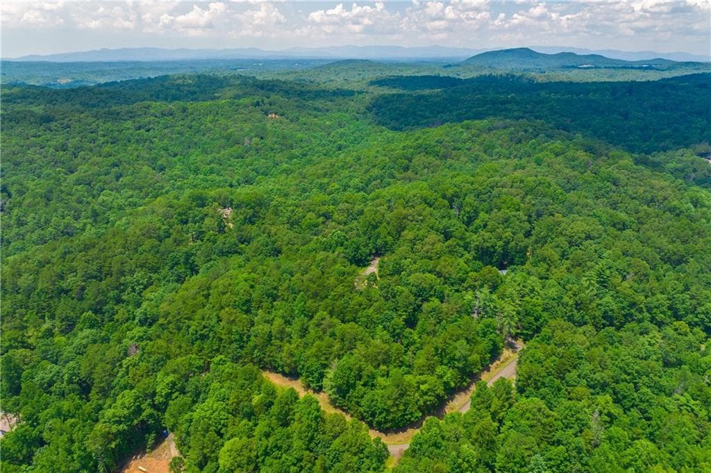 unimproved land for sale at 4.7AC Mountain Creek Hollow Drive, Talking Rock, GA 30175 — photo 7