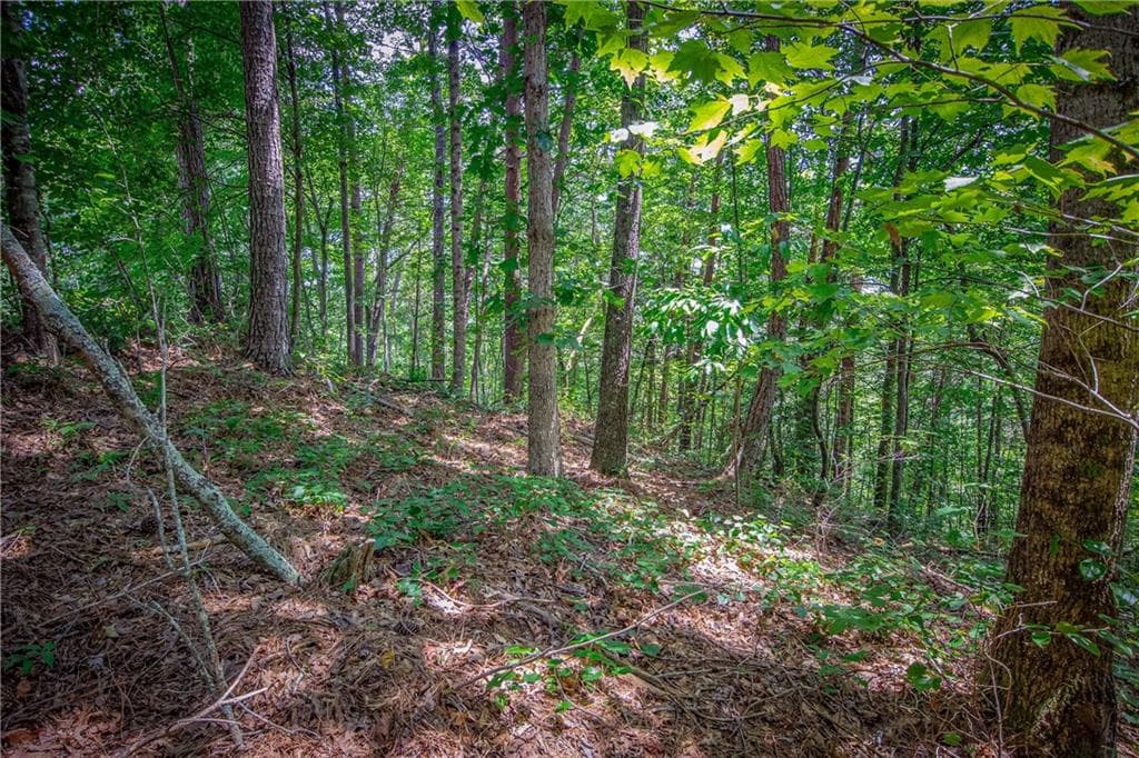 unimproved land for sale at 4.7AC Mountain Creek Hollow Drive, Talking Rock, GA 30175 — photo 9