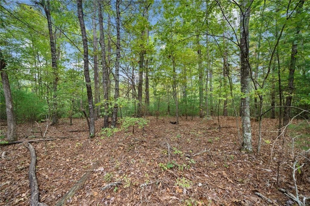 unimproved land for sale at 0 Trout Line Court, Talking Rock, GA 30175 — photo 5