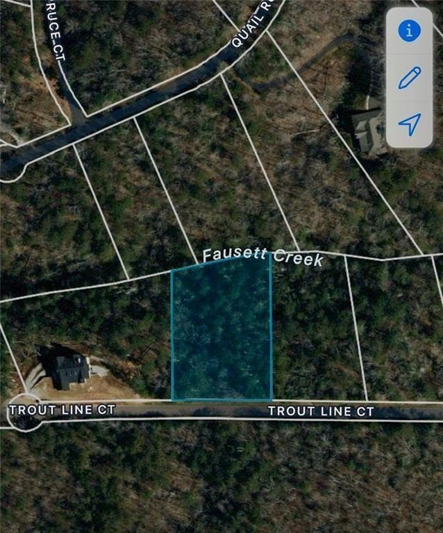 unimproved land for sale at 0 Trout Line Court, Talking Rock, GA 30175 — photo 8