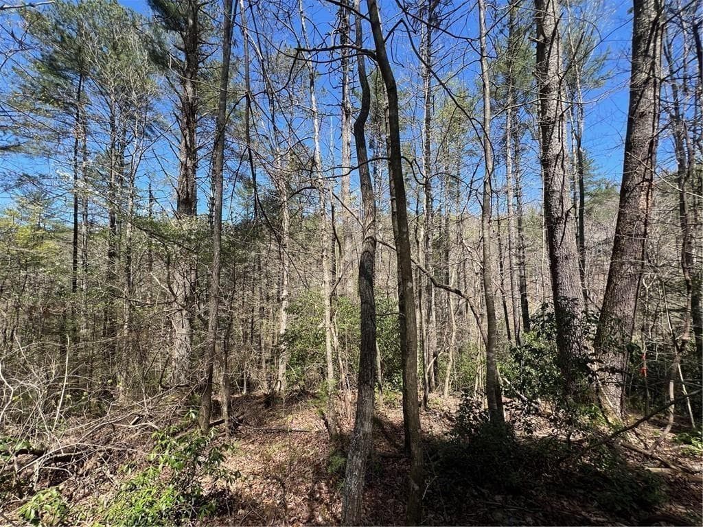 unimproved land for sale at 0 Trout Line Court, Talking Rock, GA 30175 — photo 10