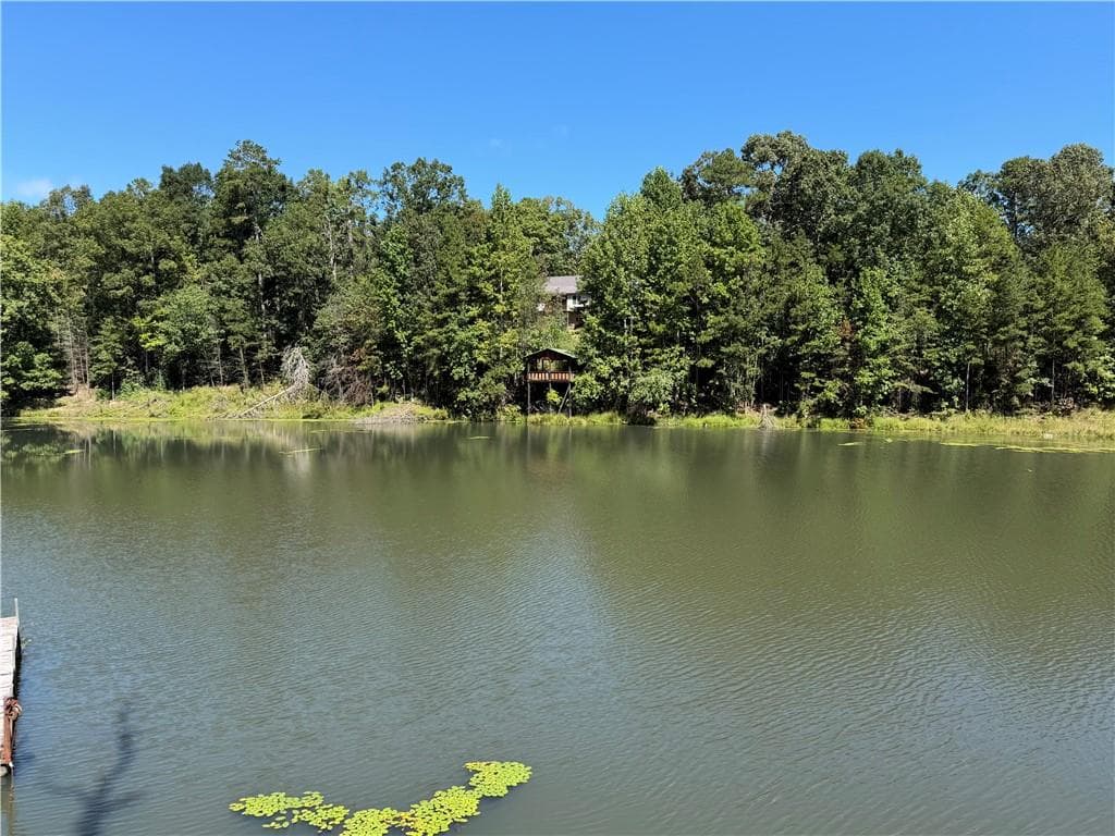 4 bedroom, 3 bathroom, 3,064 sq ft single family residence for sale at 263 Cole Lake Drive, Toccoa, GA 30577 — photo 2