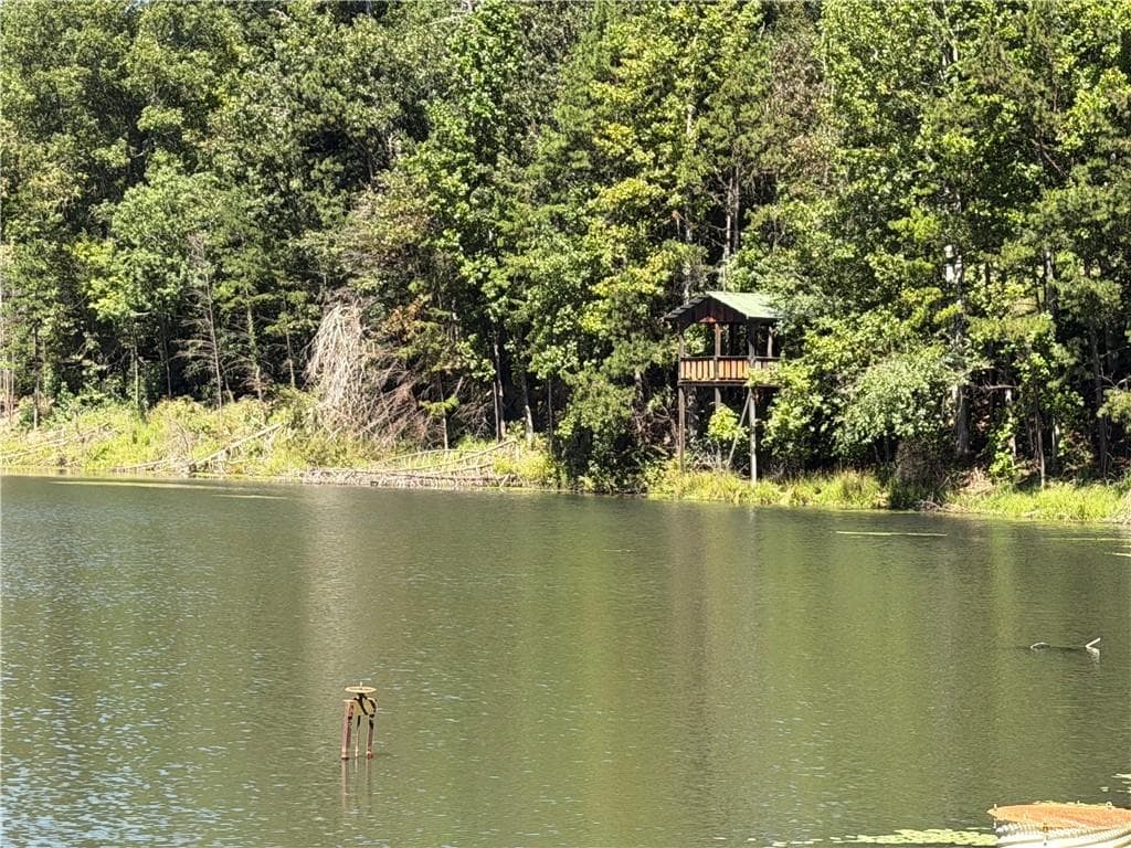 4 bedroom, 3 bathroom, 3,064 sq ft single family residence for sale at 263 Cole Lake Drive, Toccoa, GA 30577 — photo 3