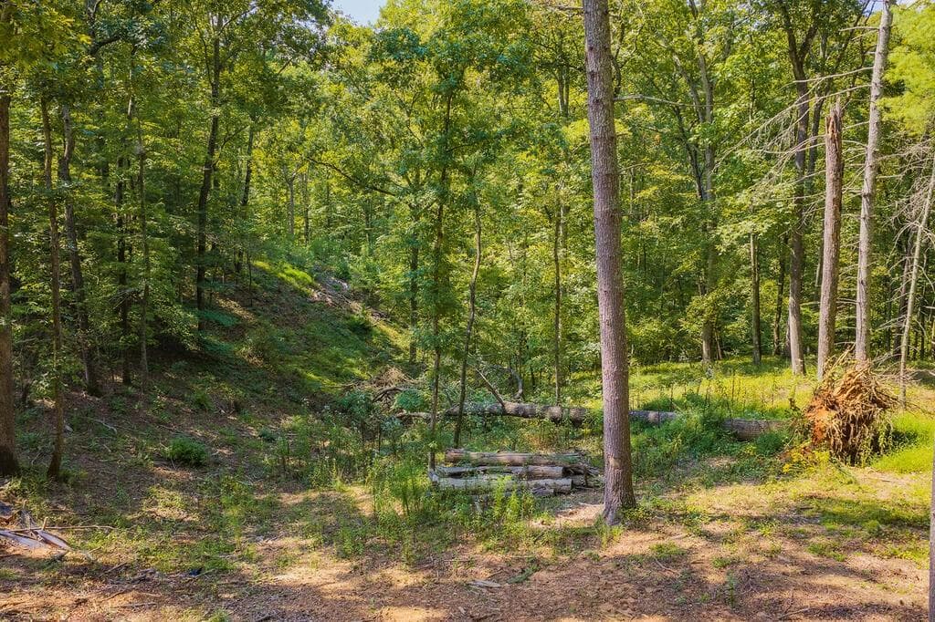 other for sale at 0 Lower Knoll Court, Talking Rock, GA 30175 — photo 2