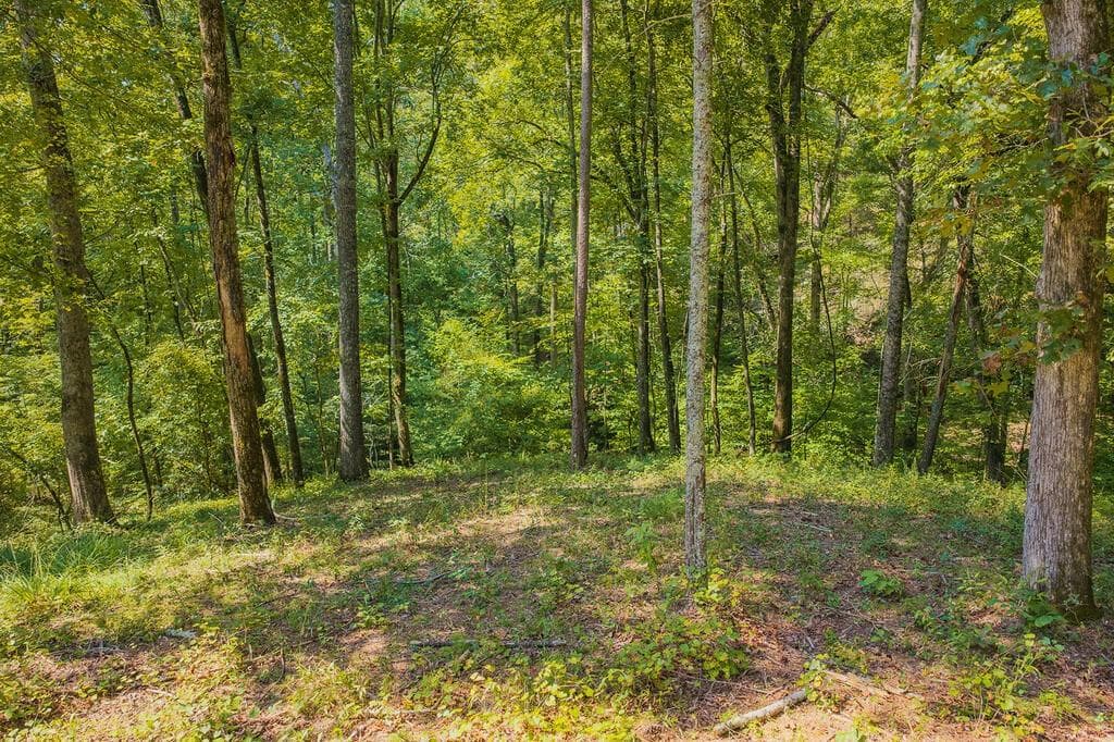 other for sale at 0 Lower Knoll Court, Talking Rock, GA 30175 — photo 3