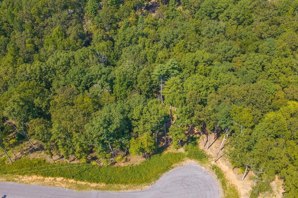 other for sale at 0 Lower Knoll Court, Talking Rock, GA 30175 — photo 5