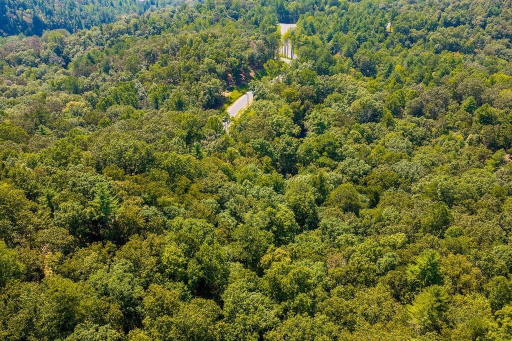 other for sale at 0 Lower Knoll Court, Talking Rock, GA 30175 — photo 7