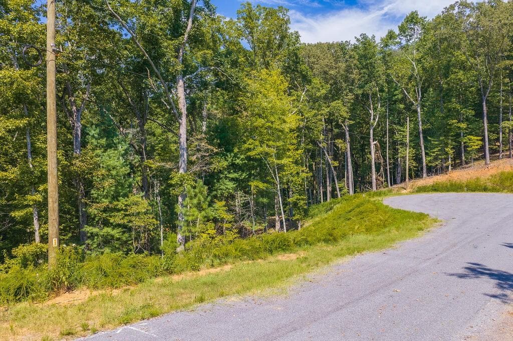 other for sale at 0 Lower Knoll Court, Talking Rock, GA 30175 — photo 8