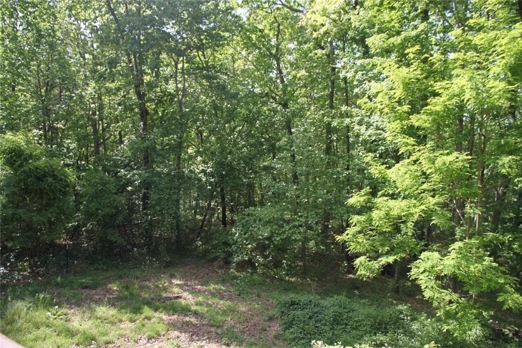 4 bedroom, 3 bathroom, 2,533 sq ft single family residence for sale at 168 Green Cabin Way, Talking Rock, GA 30175 — photo 5