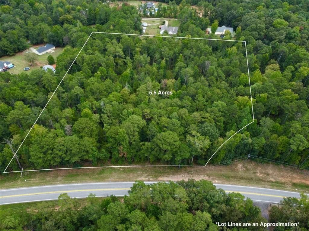 unimproved land for sale at 375 Highway 212, Covington, GA 30016 — photo 2