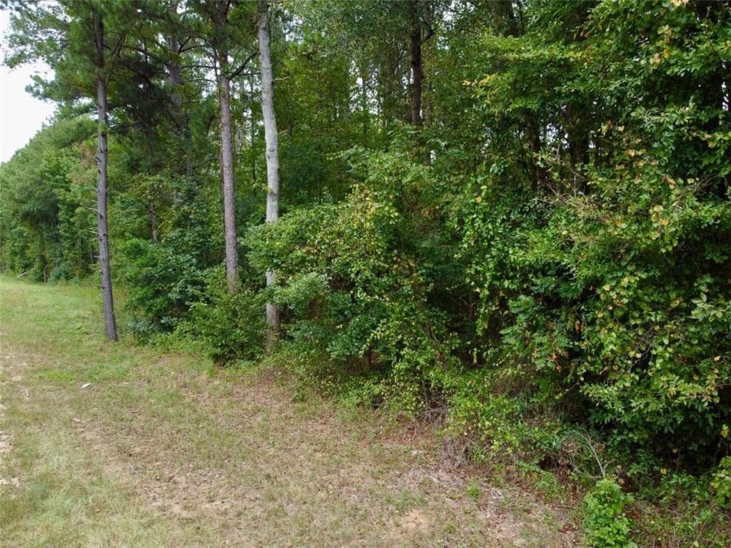 unimproved land for sale at 375 Highway 212, Covington, GA 30016 — photo 5